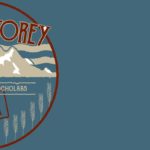 storeybanner